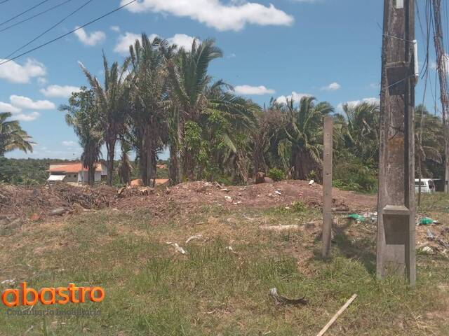 #19 - Área para Incorporação para Venda em São Luís - MA - 3