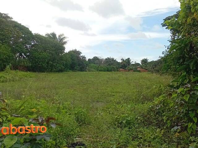Área para Venda em São Luís - 5