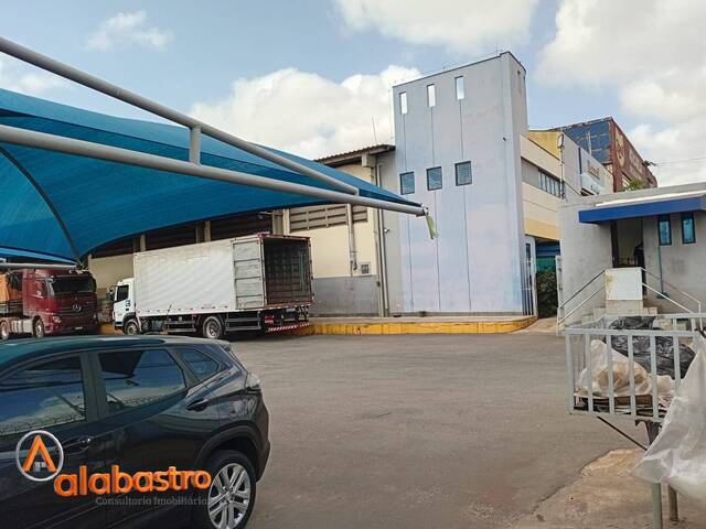 Galpão para Locação em São Luís - 5